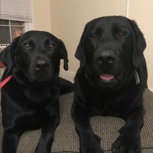 Meet your Posher, Sonya